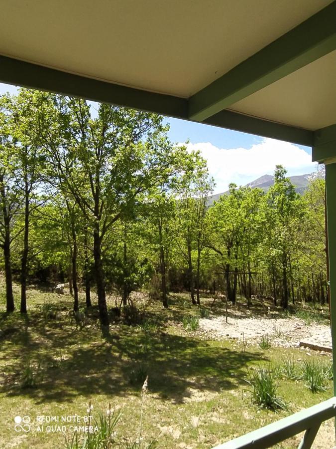 Chalet De Caralba Piscine Villa Ghisoni Exteriör bild